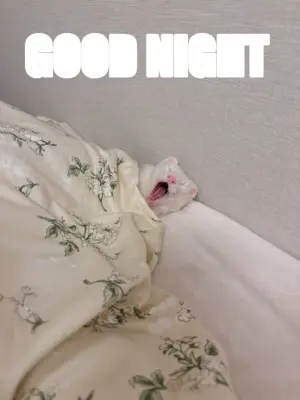 GOOD NIGHT meme