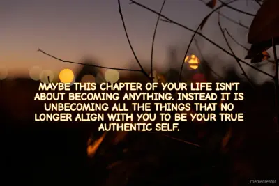 MAYBE THIS CHAPTER OF YOUR LIFE ISN'T ABOUT BECOMING ANYTHING. INSTEAD IT IS UNBECOMING ALL THE THIN meme