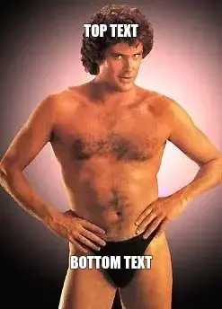 Hasselhoff meme meme