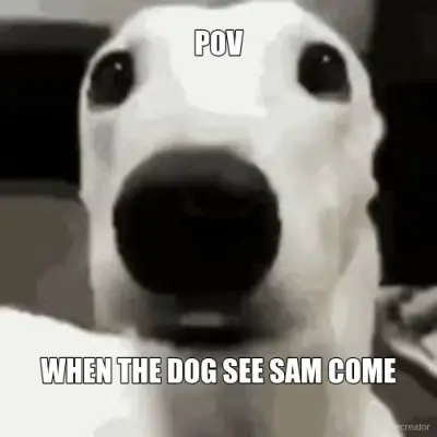 POV - WHEN THE DOG SEE SAM COME meme