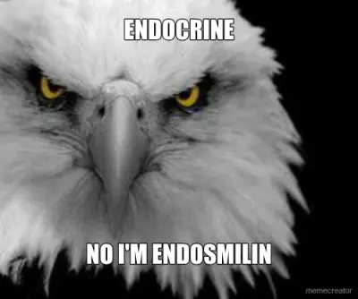 ENDOCRINE - NO I'M ENDOSMILIN meme