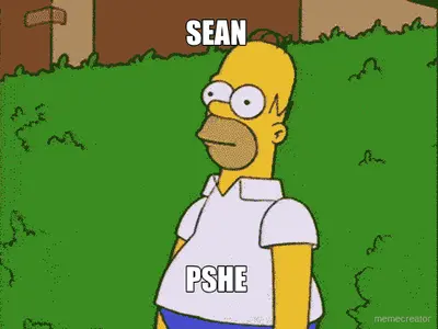 SEAN  - PSHE meme