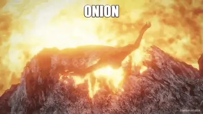 ONION meme