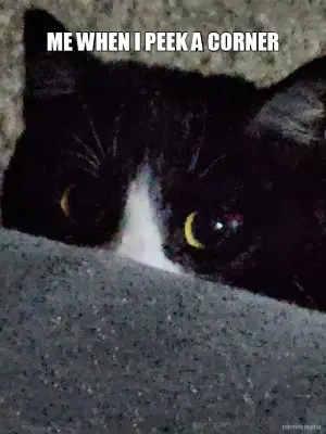 ME WHEN I PEEK A CORNER - meme