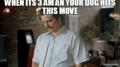 WHEN ITS 3 AM AN YOUR DOG HITS THIS MOVE meme