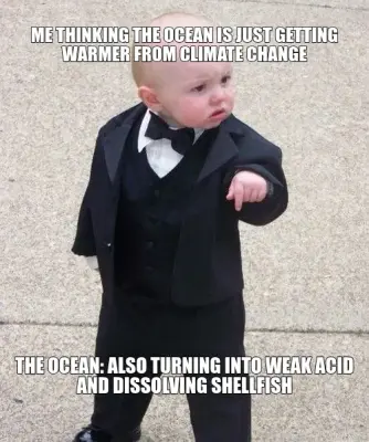 ME THINKING THE OCEAN IS JUST GETTING WARMER FROM CLIMATE CHANGE - THE OCEAN: ALSO TURNING INTO WEAK meme