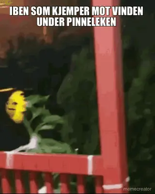 IBEN SOM KJEMPER MOT VINDEN UNDER PINNELEKEN meme