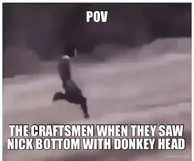 POV - THE CRAFTSMEN WHEN THEY SAW NICK BOTTOM WITH DONKEY HEAD meme