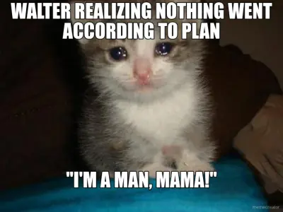 WALTER REALIZING NOTHING WENT ACCORDING TO PLAN - "I'M A MAN, MAMA!" meme