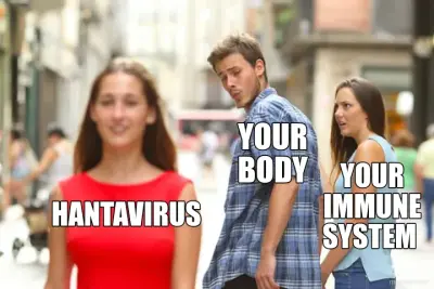 HANTAVIRUS - YOUR
BODY - YOUR IMMUNE SYSTEM meme