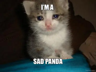 I’M A  - SAD PANDA meme