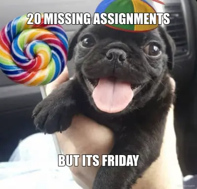 20 MISSING ASSIGNMENTS - BUT ITS FRIDAY