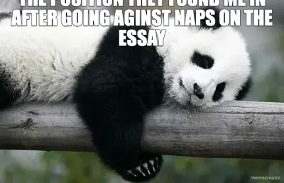 THE POSITION THEY FOUND ME IN AFTER GOING AGINST NAPS ON THE ESSAY meme