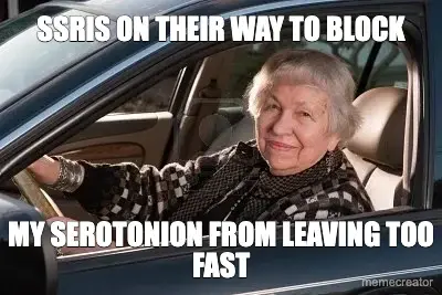 SSRIS ON THEIR WAY TO BLOCK - MY SEROTONION FROM LEAVING TOO FAST meme