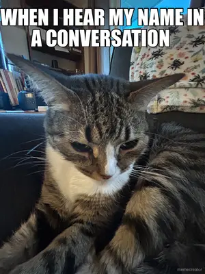 WHEN I HEAR MY NAME IN A CONVERSATION meme