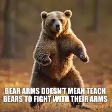 BEAR ARMS DOESN'T MEAN TEACH 
BEARS TO FIGHT WITH THEIR ARMS meme