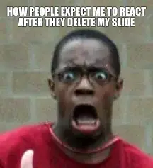 HOW PEOPLE EXPECT ME TO REACT AFTER THEY DELETE MY SLIDE meme