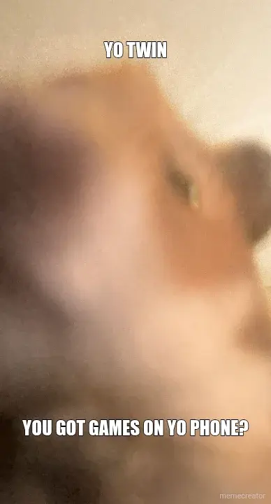 YO TWIN - YOU GOT GAMES ON YO PHONE? meme