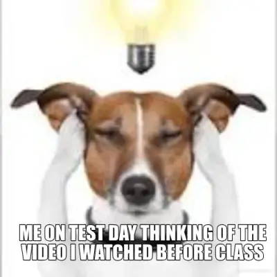 ME ON TEST DAY THINKING OF THE VIDEO I WATCHED BEFORE CLASS meme