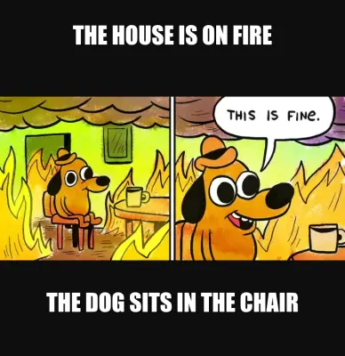 THE HOUSE IS ON FIRE | THE DOG SITS IN THE CHAIR meme
