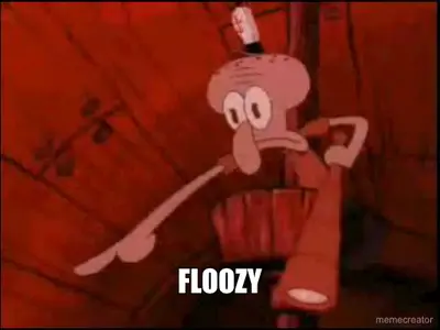 FLOOZY meme
