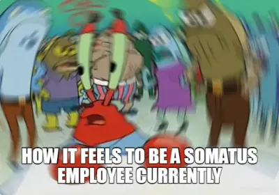 - HOW IT FEELS TO BE A SOMATUS EMPLOYEE CURRENTLY meme