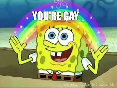 YOU'RE GAY meme