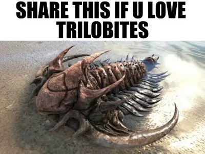 image-287 meme meme