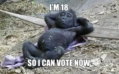 I'M 18  — SO I CAN VOTE NOW meme
