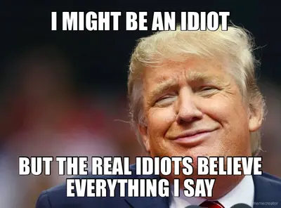I MIGHT BE AN IDIOT - BUT THE REAL IDIOTS BELIEVE EVERYTHING I SAY meme