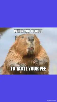 WHEN YOU DECIDE - TO TASTE YOUR PEE meme
