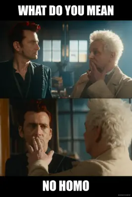 WHAT DO YOU MEAN - NO HOMO meme