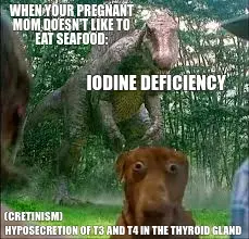 IODINE DEFICIENCY — HYPOSECRETION OF T3 AND T4 IN THE THYROID GLAND — 
 — WHEN YOUR PREGNANT MOM DOE meme
