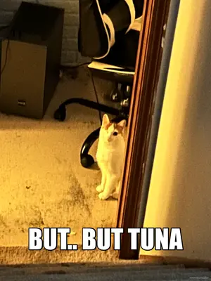 BUT.. BUT TUNA meme