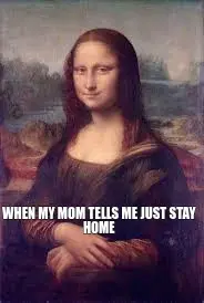 WHEN MY MOM TELLS ME JUST STAY HOME meme