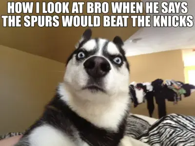 HOW I LOOK AT BRO WHEN HE SAYS THE SPURS WOULD BEAT THE KNICKS meme