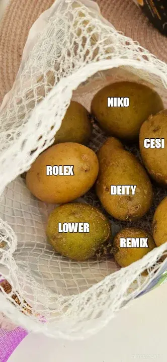 NIKO - DEITY - REMIX - ROLEX - LOWER - CESI meme