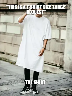 "THIS IS A T-SHIRT SIZE 'LARGE' REQUEST" - THE SHIRT meme