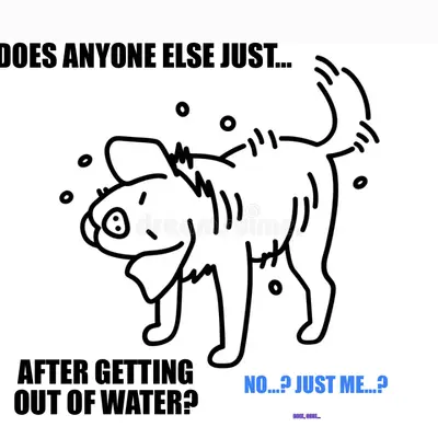 DOES ANYONE ELSE JUST… — AFTER GETTING OUT OF WATER? — NO…? JUST ME…? — COOL, COOL… meme
