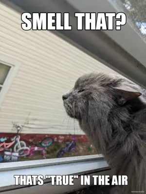 SMELL THAT? - THATS "TRUE" IN THE AIR meme
