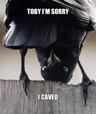 TOBY I’M SORRY - I CAVED meme