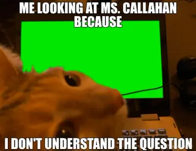ME LOOKING AT MS. CALLAHAN BECAUSE - I DON'T UNDERSTAND THE QUESTION meme
