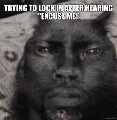 TRYING TO LOCK IN AFTER HEARING "EXCUSE ME" meme