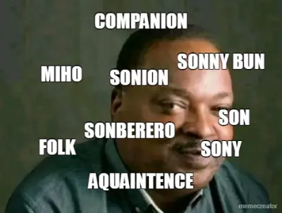 COMPANION - AQUAINTENCE - SONBERERO - SON - SONION - SONY - FOLK - SONNY BUN - MIHO meme