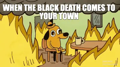WHEN THE BLACK DEATH COMES TO YOUR TOWN meme