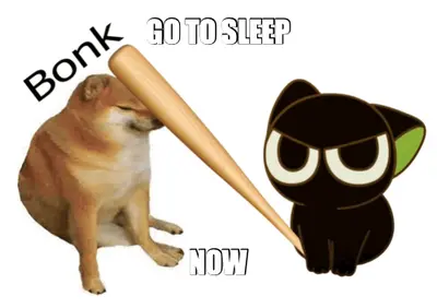 GO TO SLEEP - NOW meme