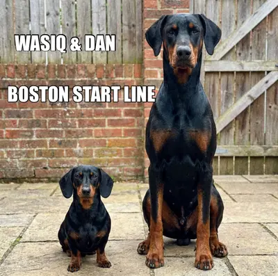 WASIQ & DAN  — BOSTON START LINE meme
