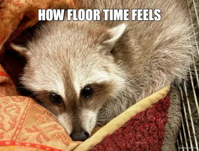 HOW FLOOR TIME FEELS meme