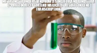 ME TRYING TO UNDERSTAND HOW A SINGLE LIGAND BINDS TO A G-PROTEIN RECEPTOR AND MAGICALLY RESULTS IN G