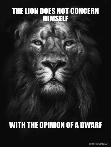 THE LION DOES NOT CONCERN HIMSELF - WITH THE OPINION OF A DWARF meme